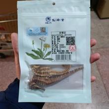 海马(约4g)刺海马8g/对(公母配对)